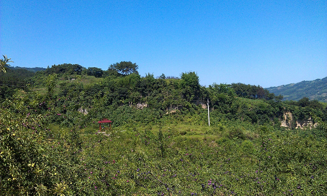 IMAG0815.jpg
