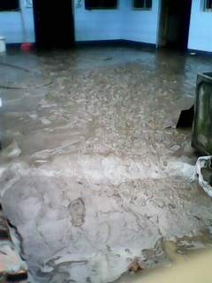 2000.jpg