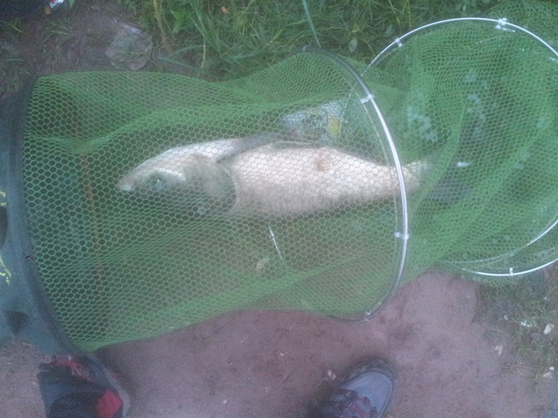 20130625_061534.jpg
