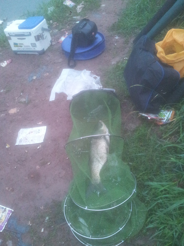 20130625_061545.jpg
