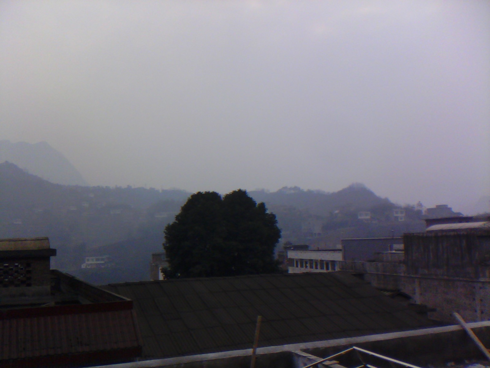 IMG_20130109_113442.jpg