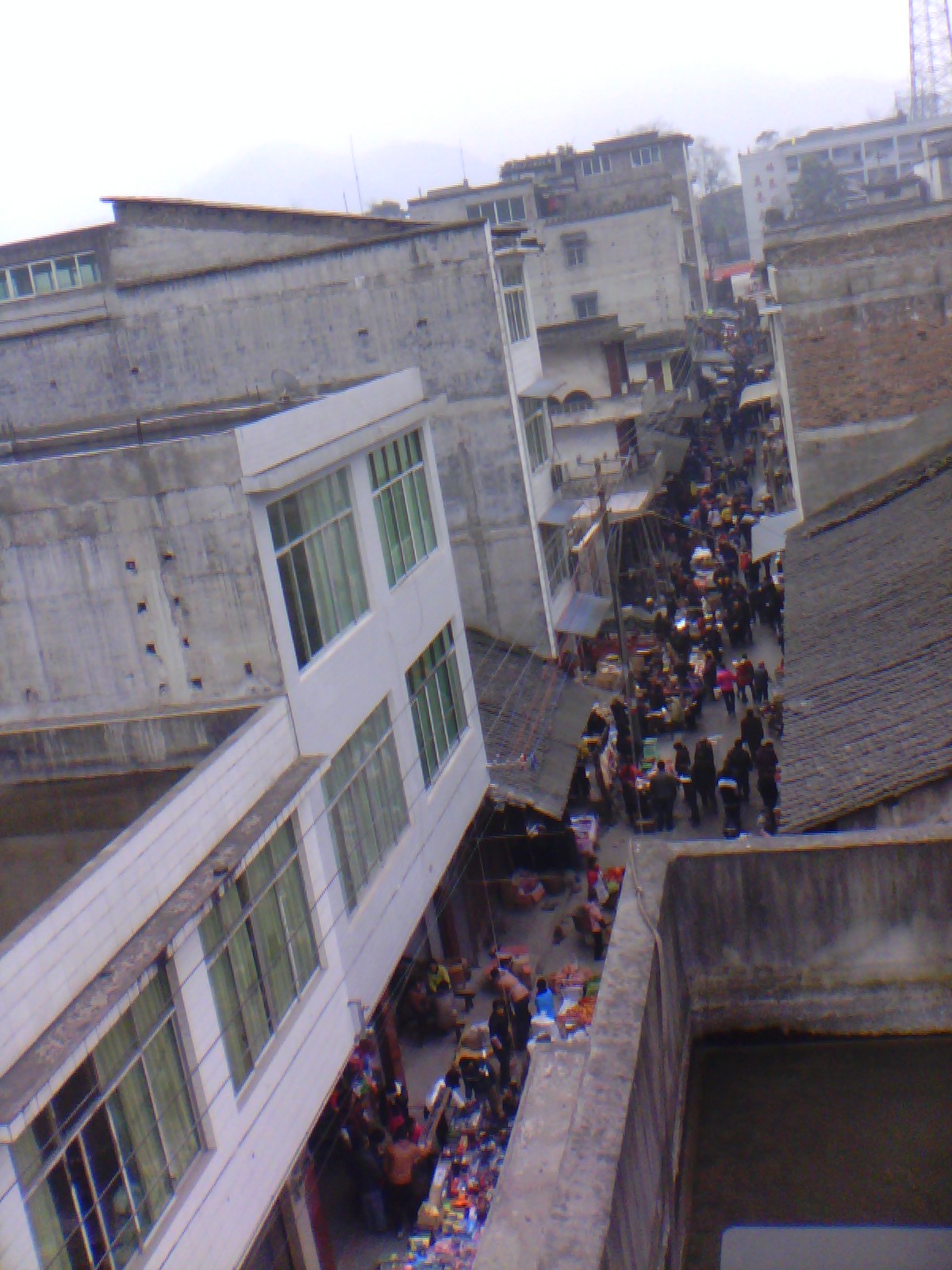IMG_20130109_113651.jpg