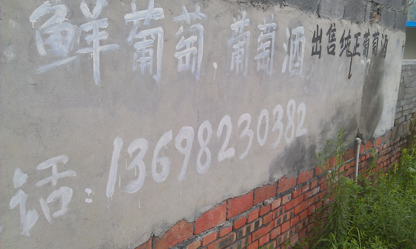 IMAG1005.jpg