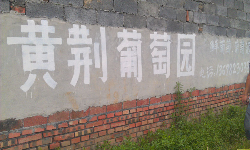 IMAG1004.jpg