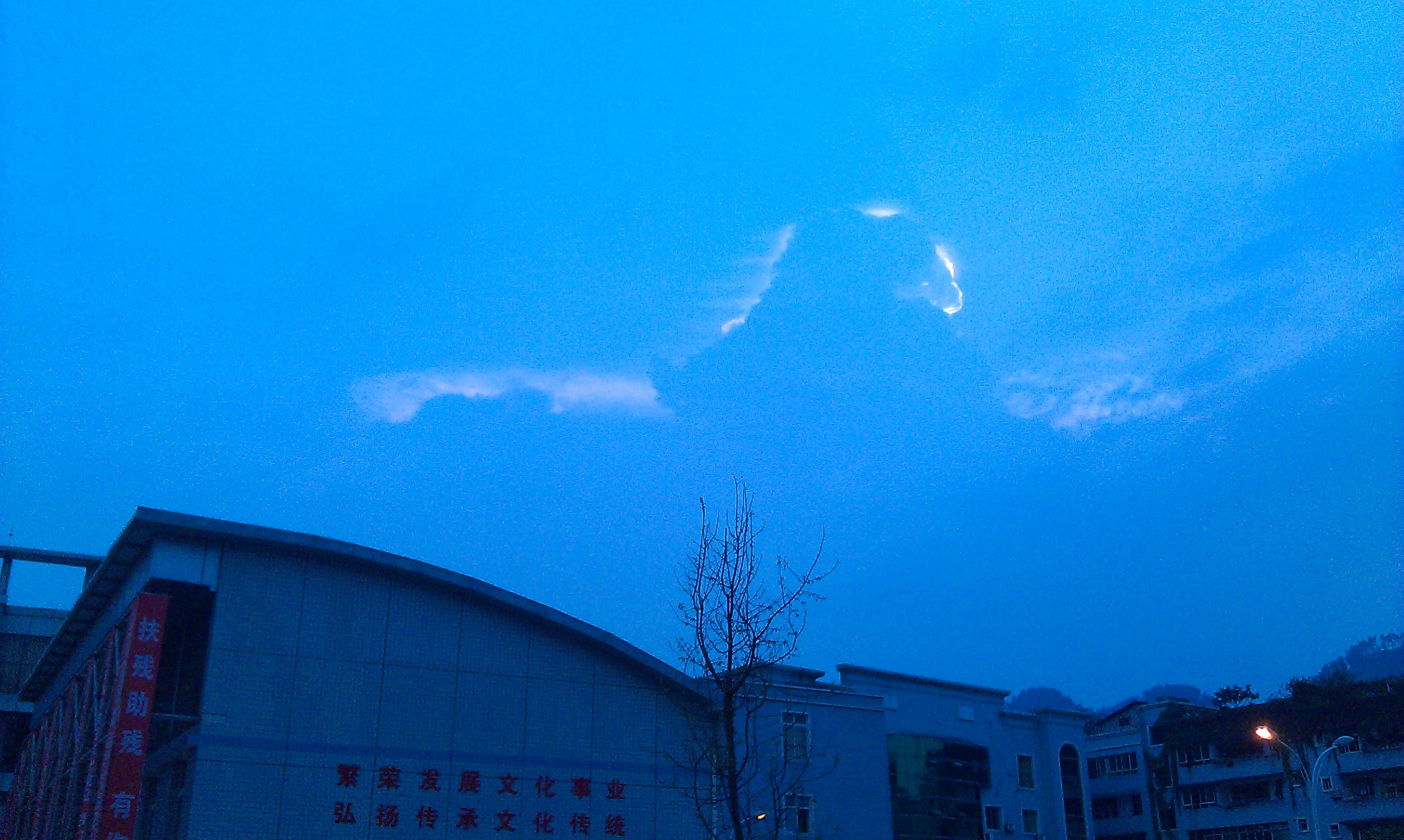IMAG0973.jpg