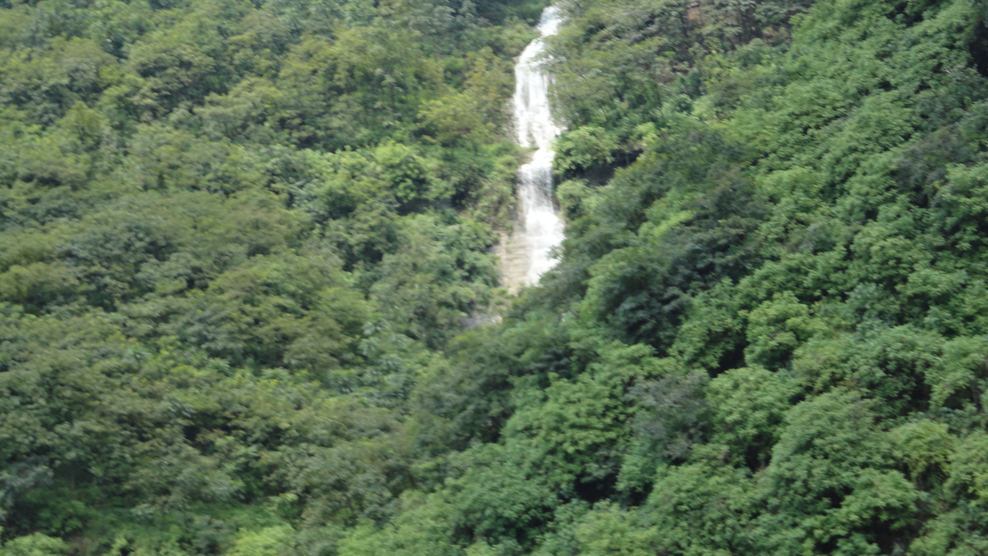 DSC03859.JPG
