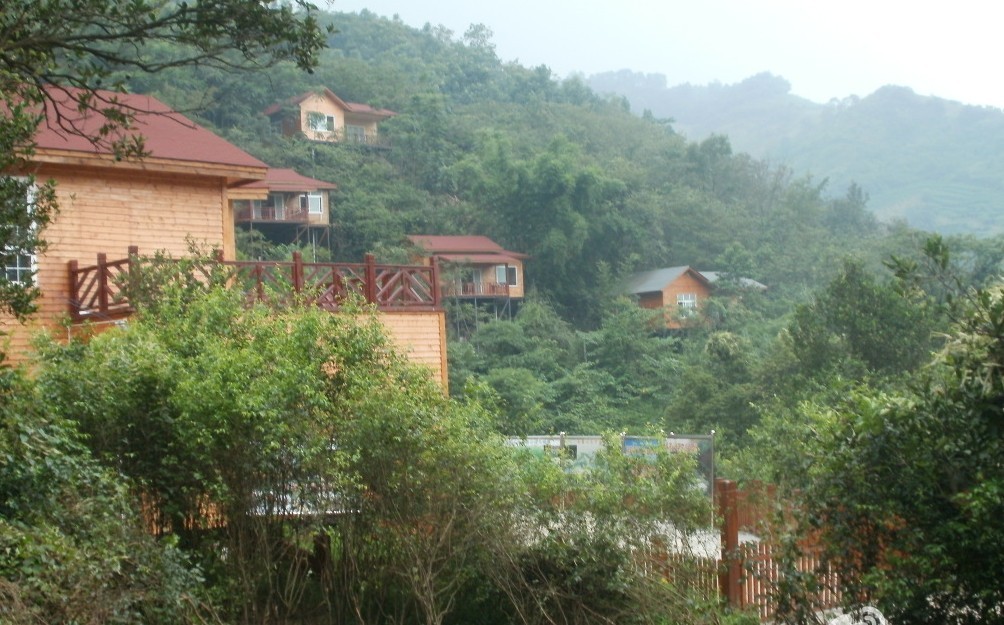 88.jpg