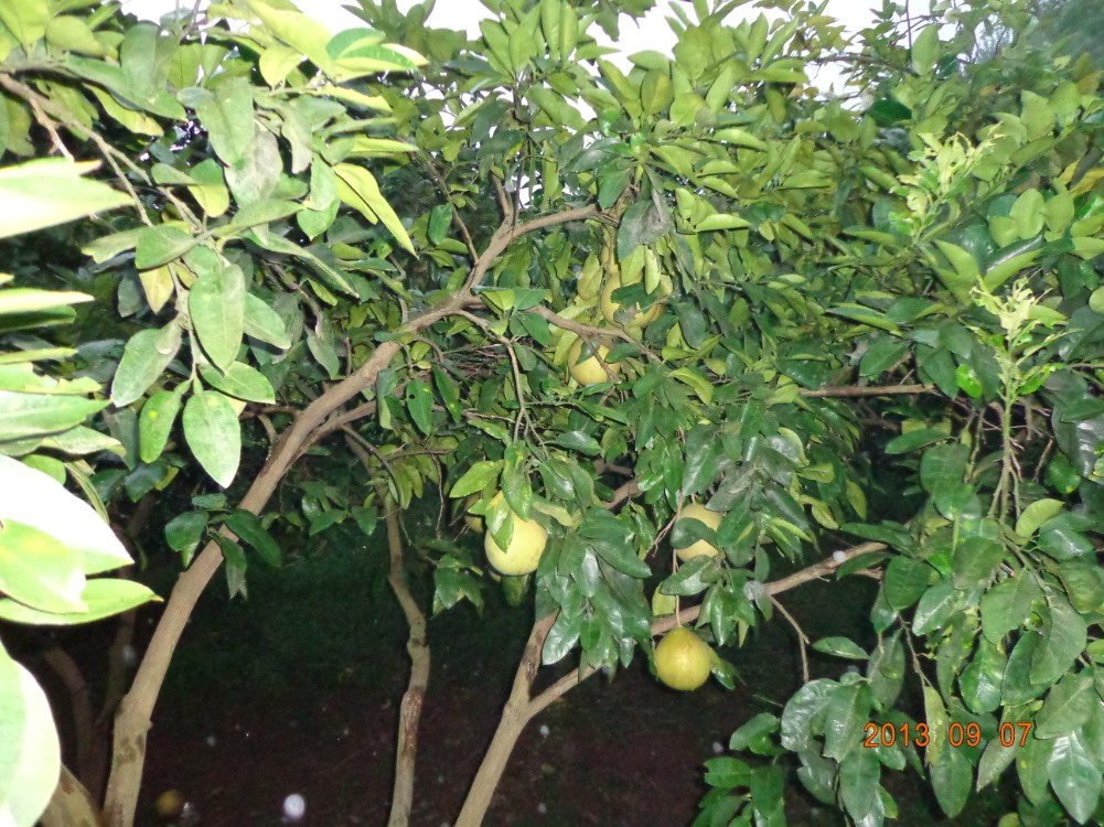 QQͼ20130908153720.jpg