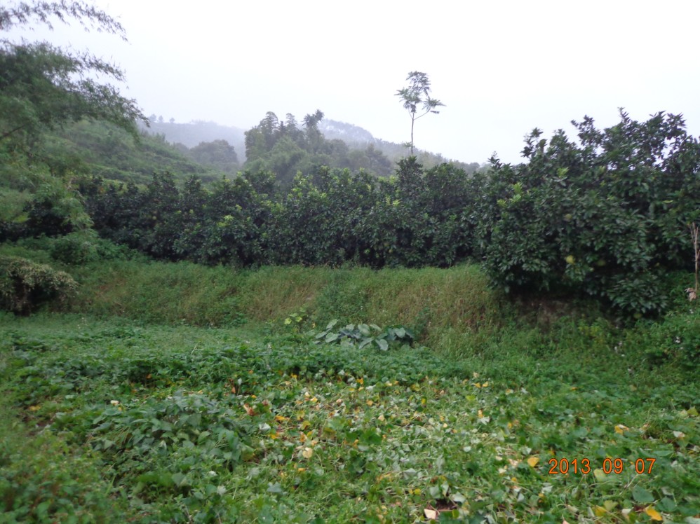 QQͼ20130908153819.jpg
