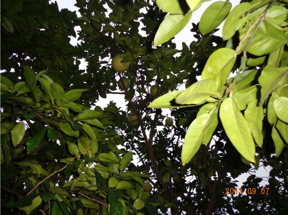 QQͼ20130908153853.jpg