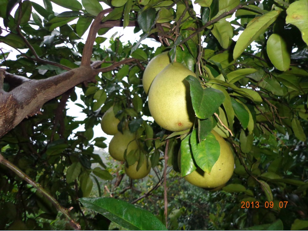 QQͼ20130908153908.jpg