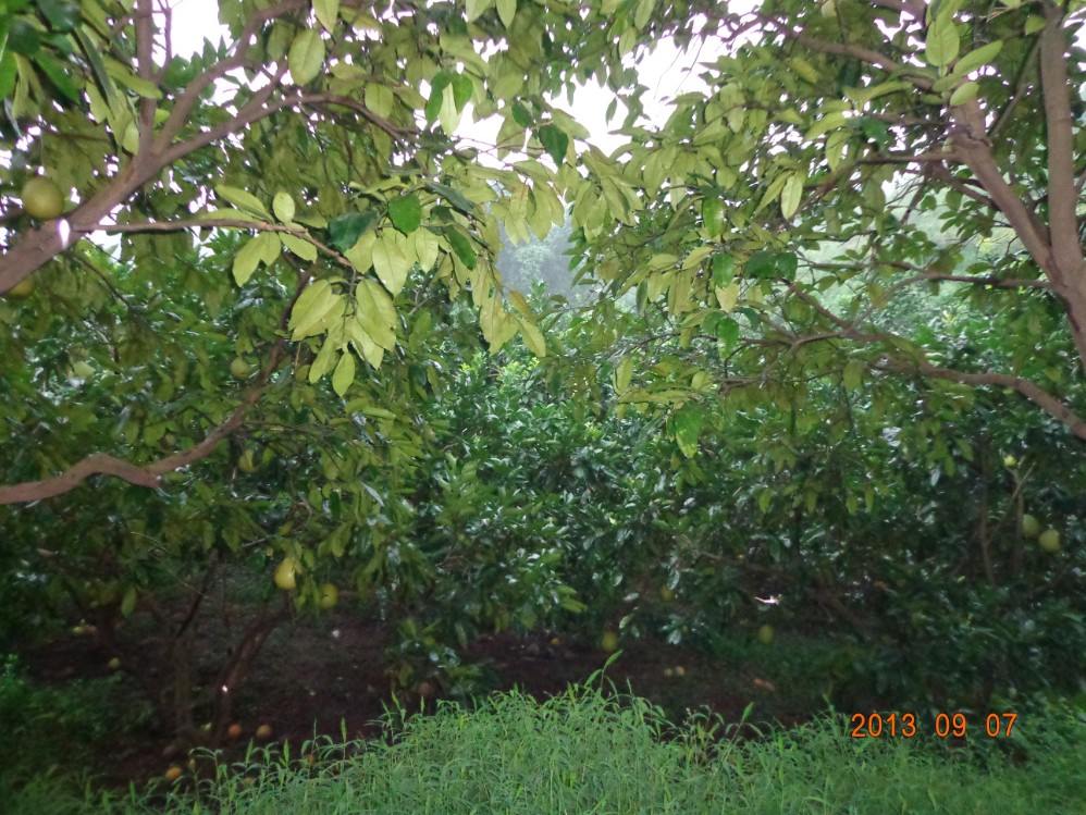 QQͼ20130908153919.jpg