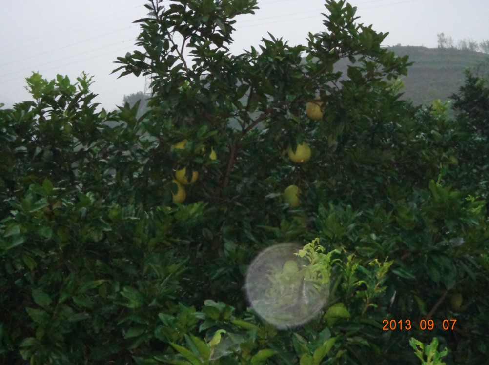 QQͼ20130908153932.jpg