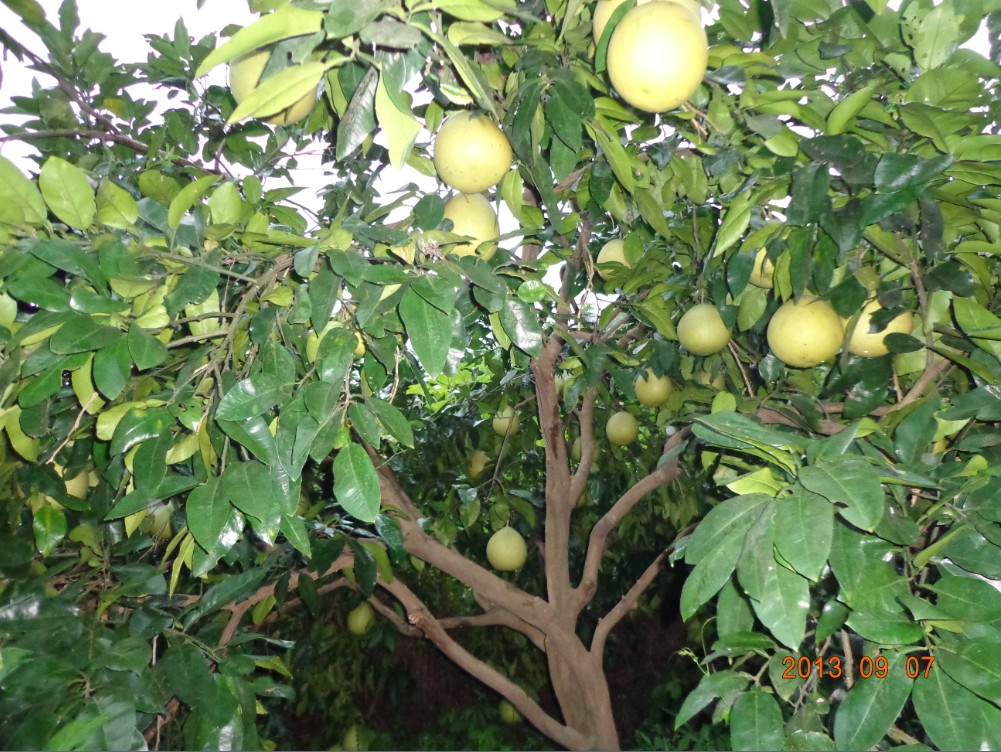 QQͼ20130908153956.jpg
