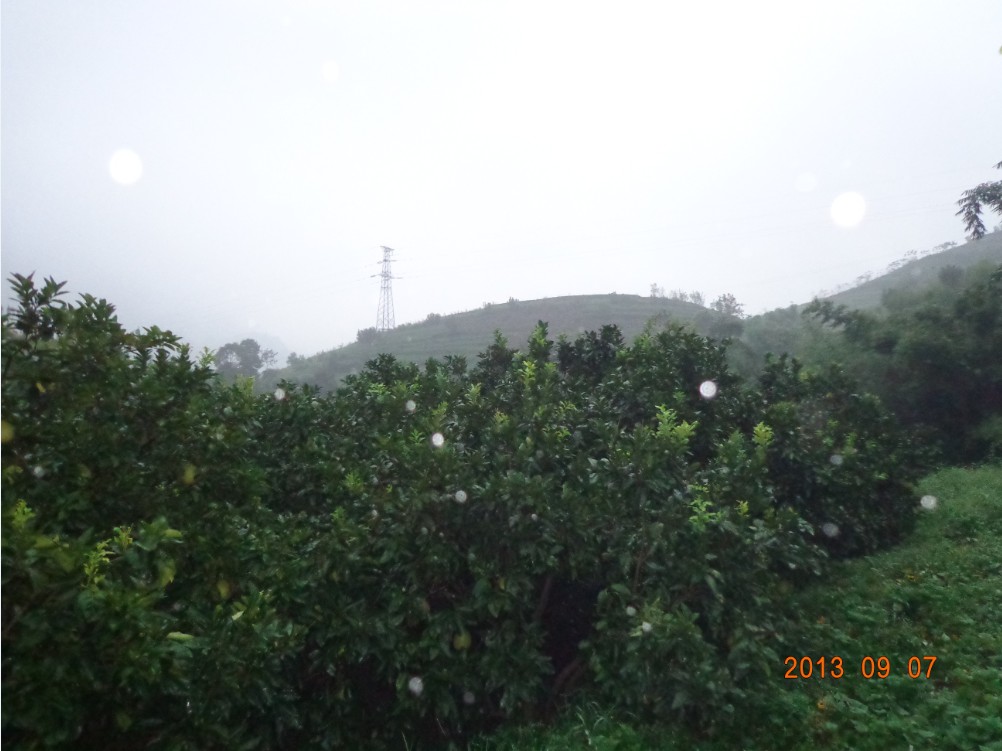 QQͼ20130908154006.jpg
