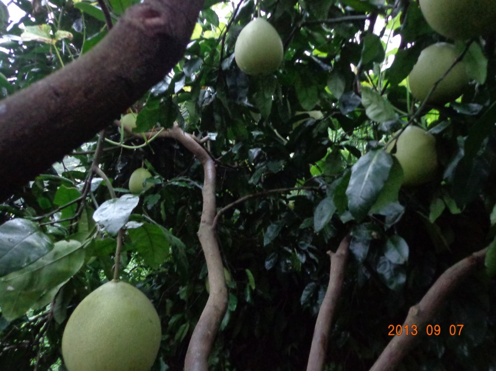 QQͼ20130908154019.jpg