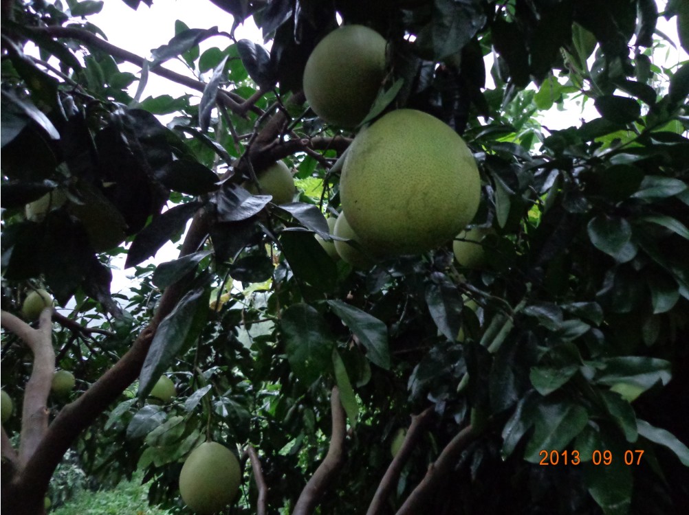 QQͼ20130908154029.jpg