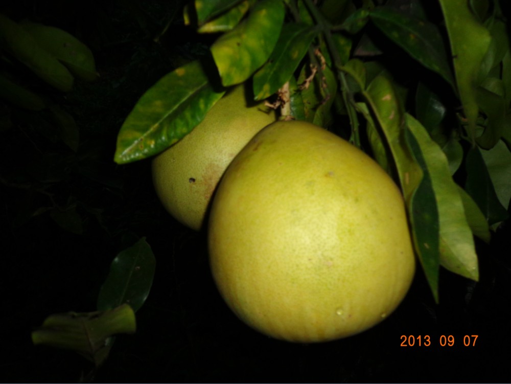 QQͼ20130908154113.jpg