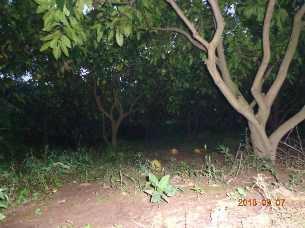 QQͼ20130908154153.jpg