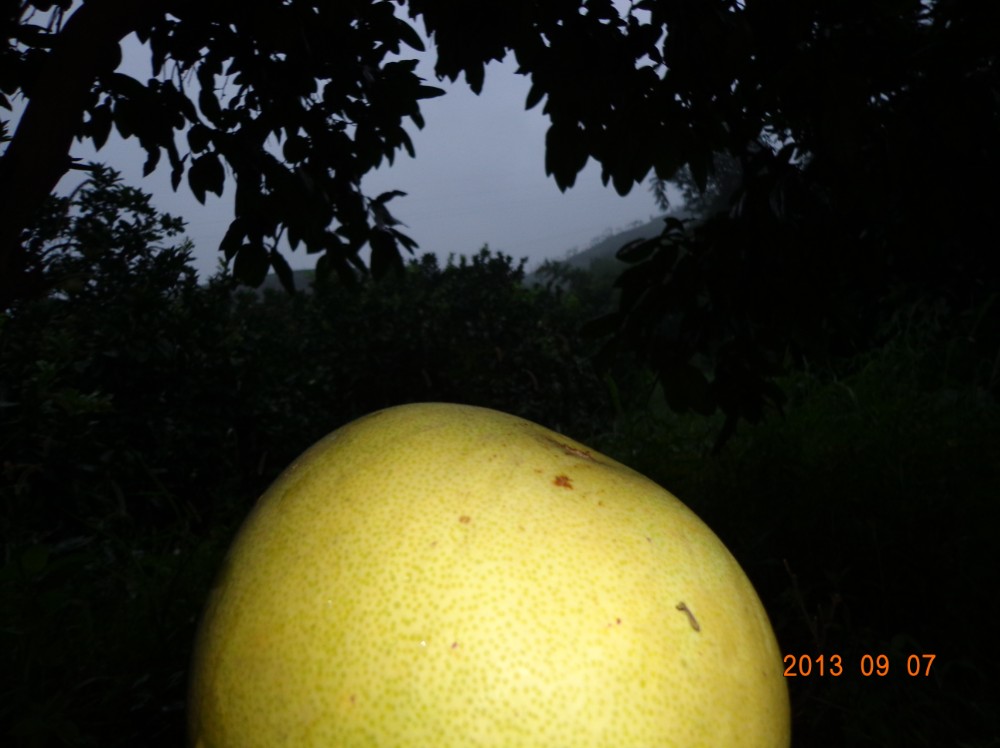 QQͼ20130908154206.jpg