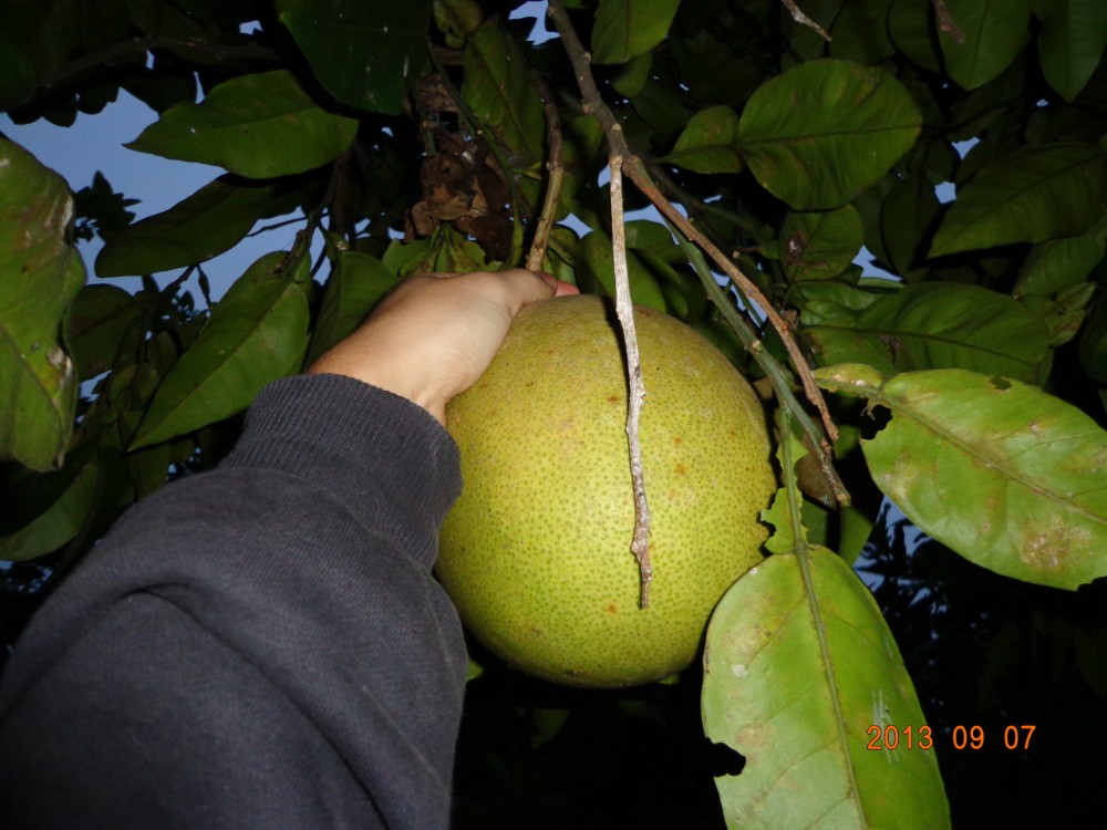 QQͼ20130908154219.jpg