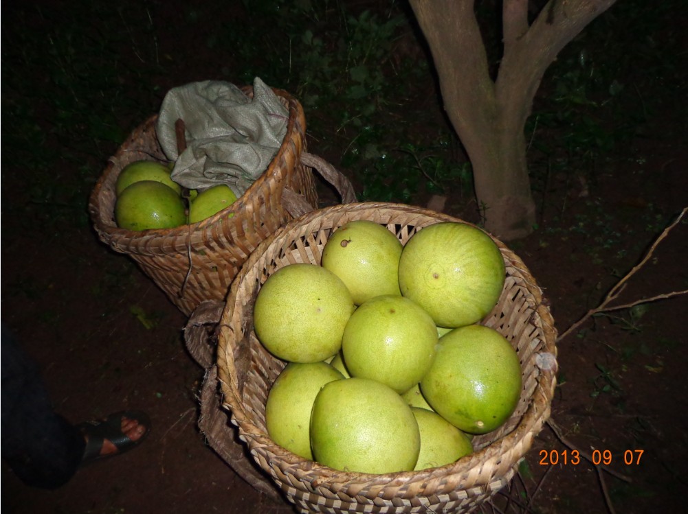 QQͼ20130908154234.jpg