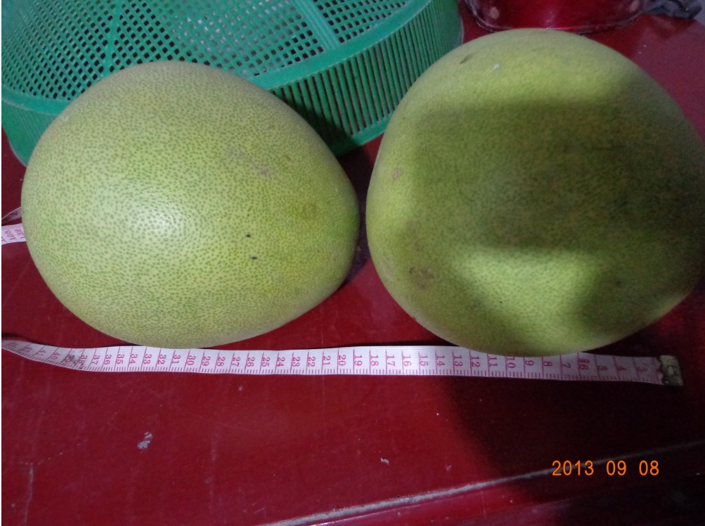 QQͼ20130908154351.jpg
