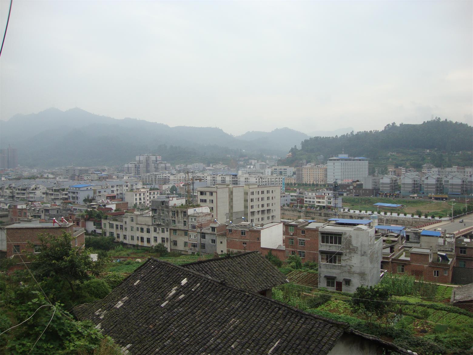 DSC01474.jpg