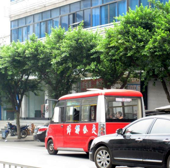 c1.jpg