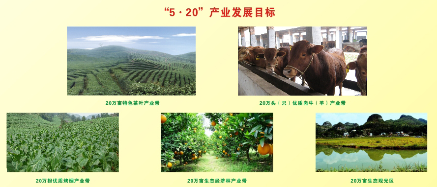 5-20ҵչĿ.jpg