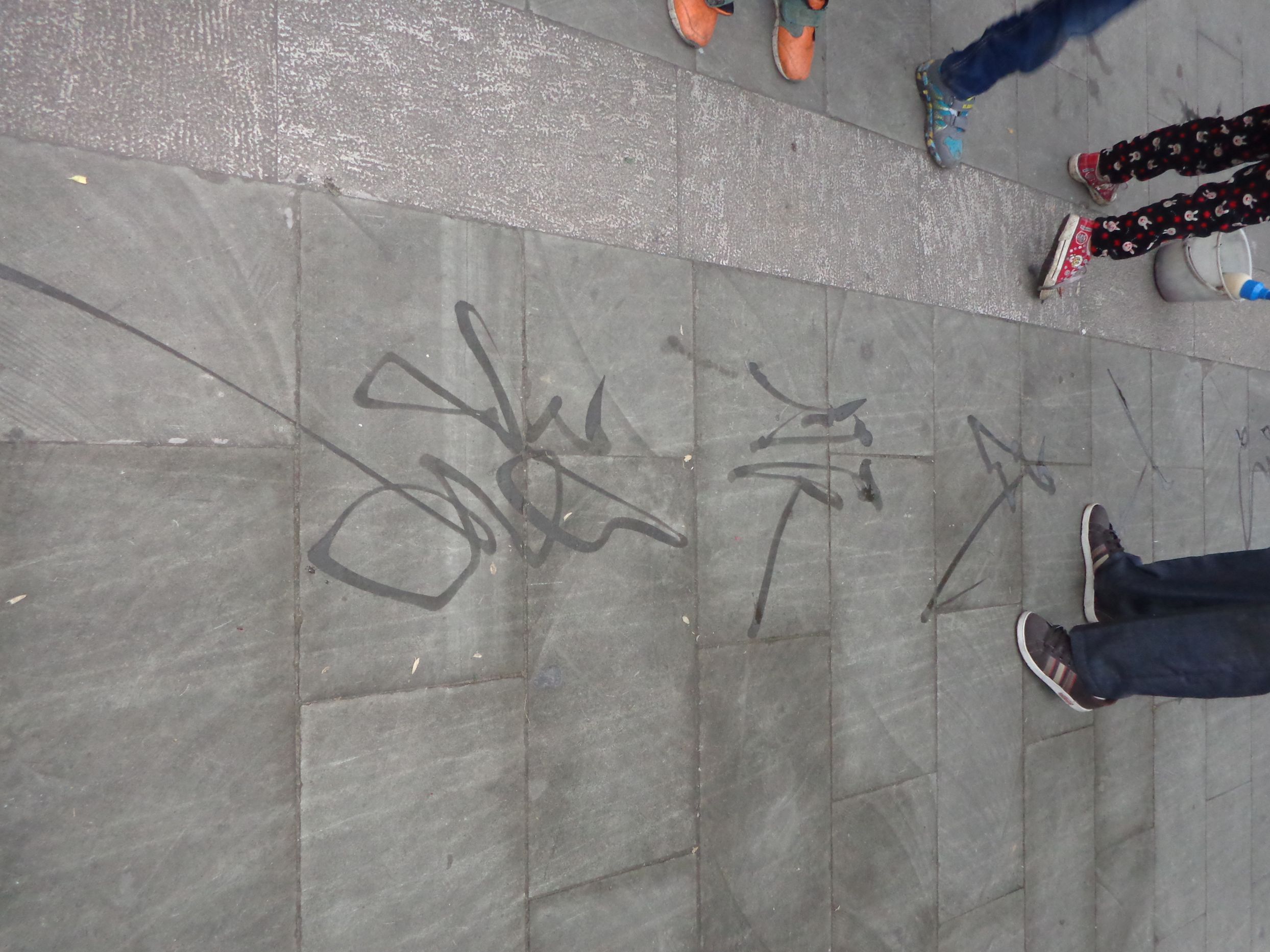 DSC00640_.jpg