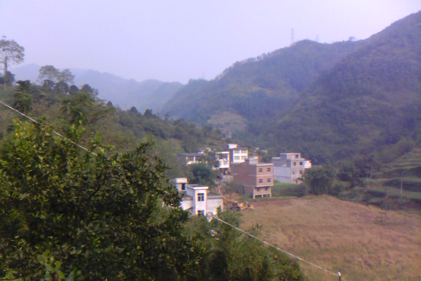 IMG_Ali_00050.jpg