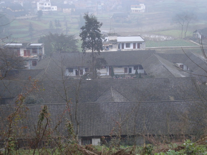 06.jpg