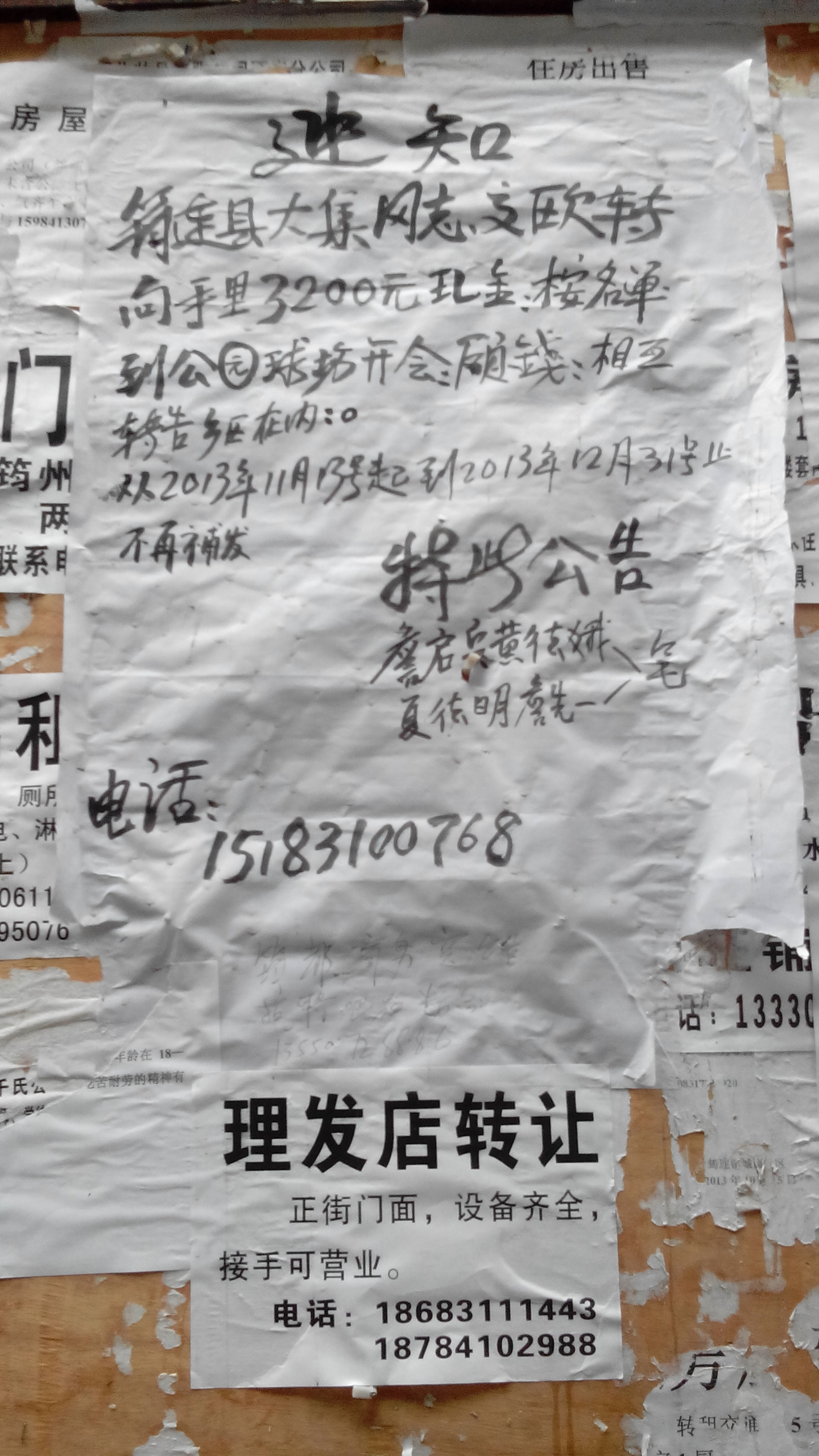 IMG_20131118_094015.jpg