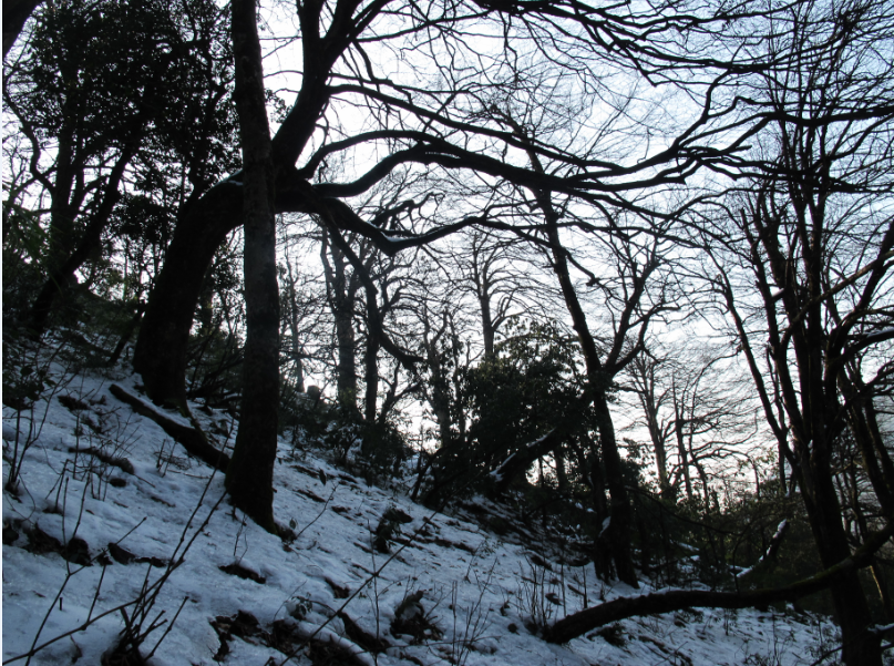 QQͼ20140107194739.png