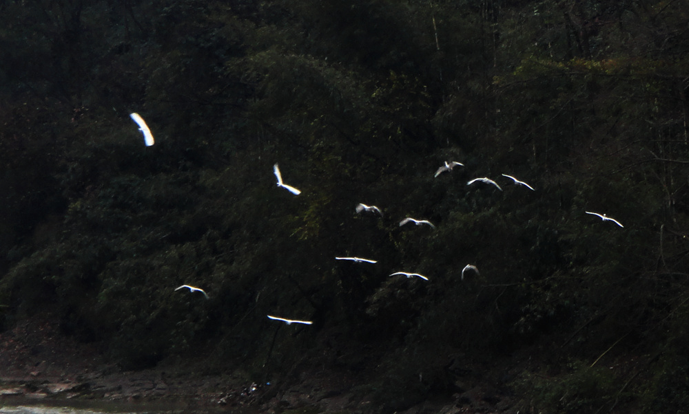 DSC03214_.jpg