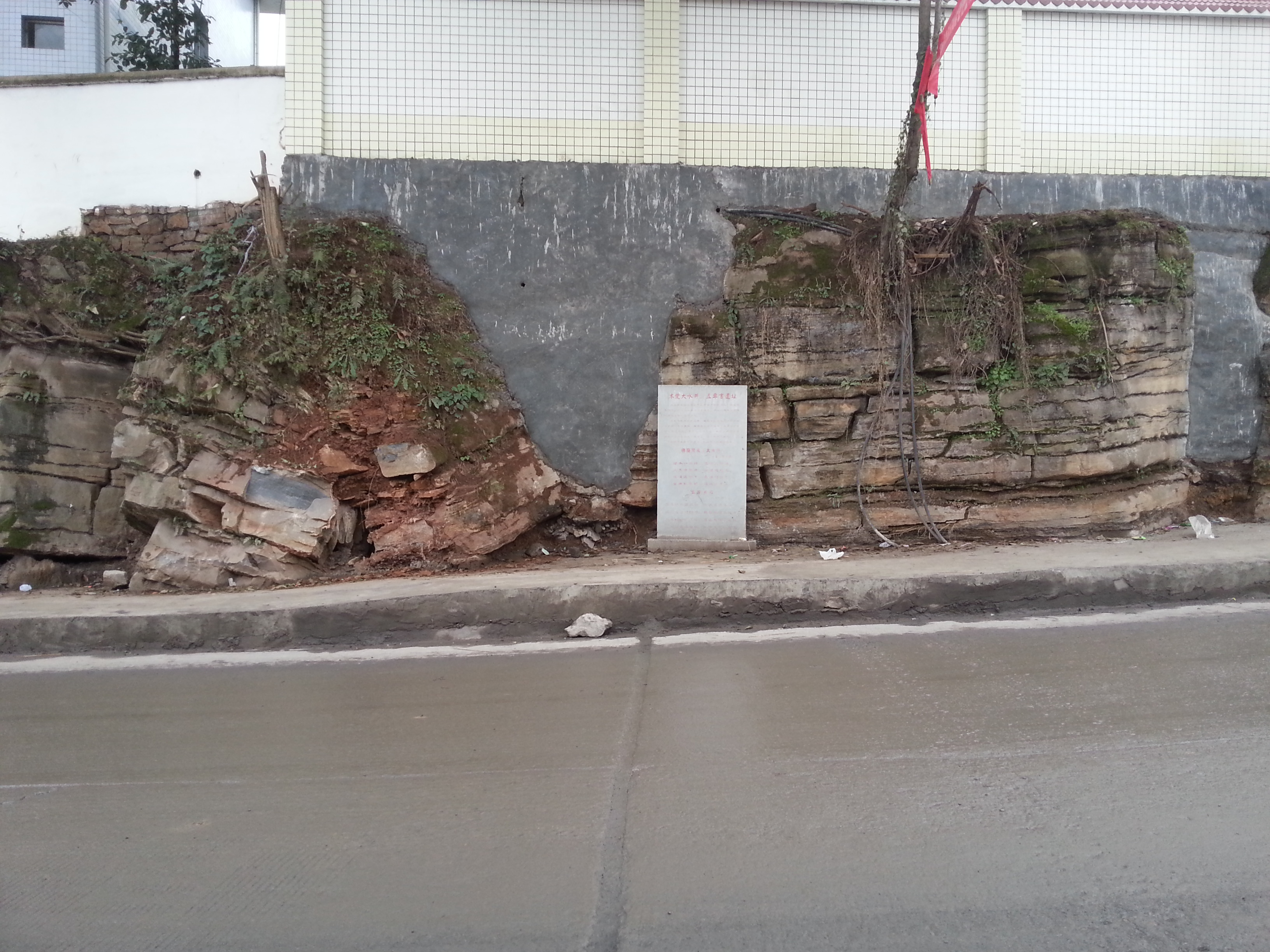 20131222_133548_1.jpg