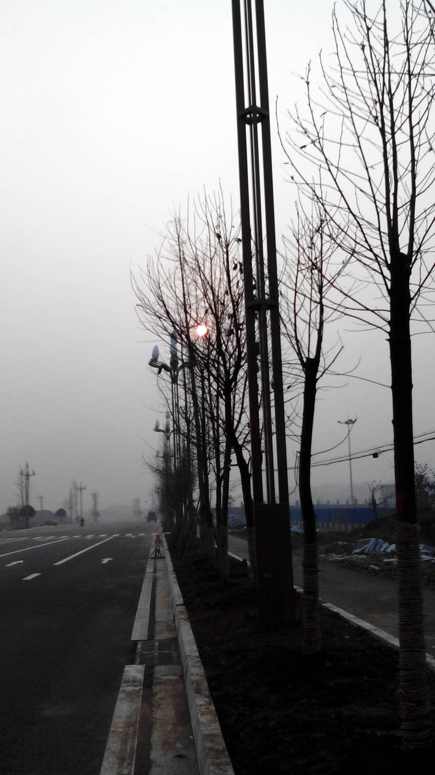 IMG_20140129_172948.jpg