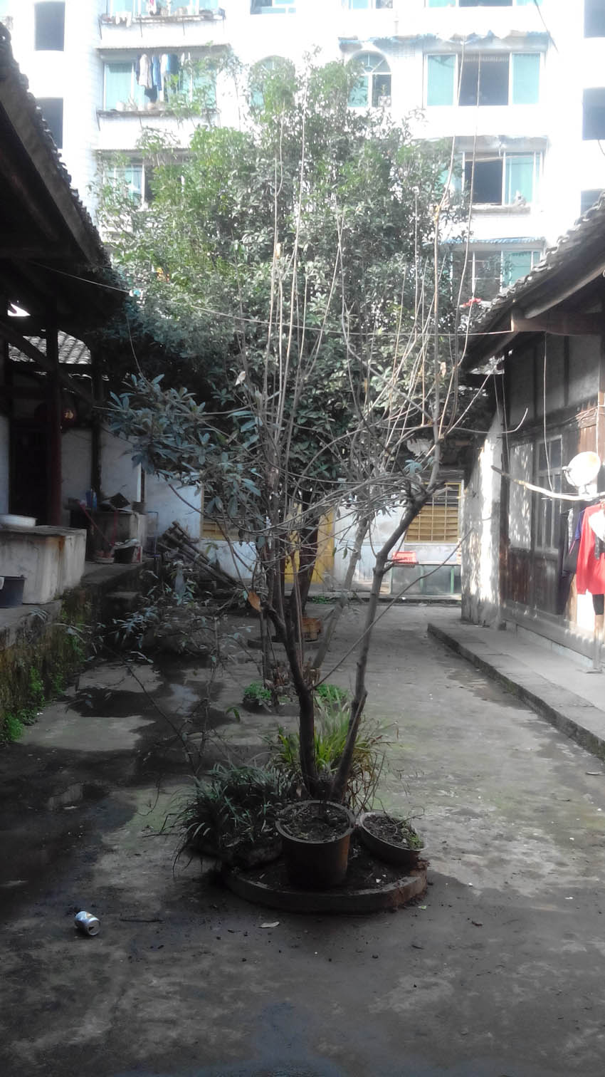 IMG_20140201_150829.jpg
