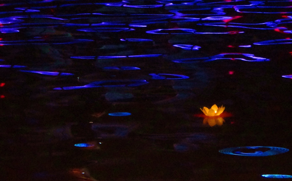 DSC03854_.jpg