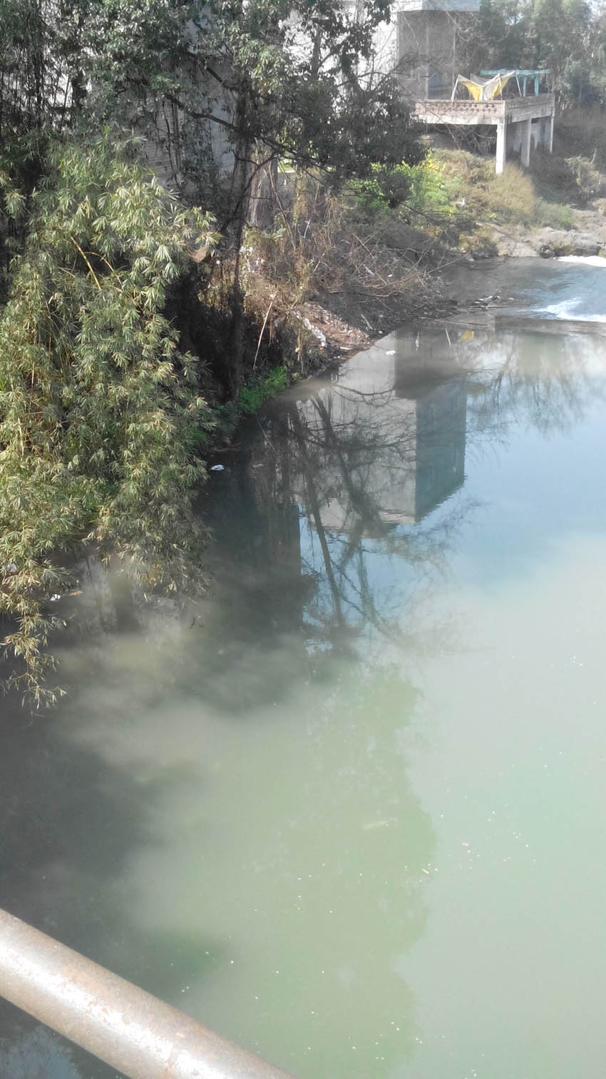 IMG_20140219_134806.jpg