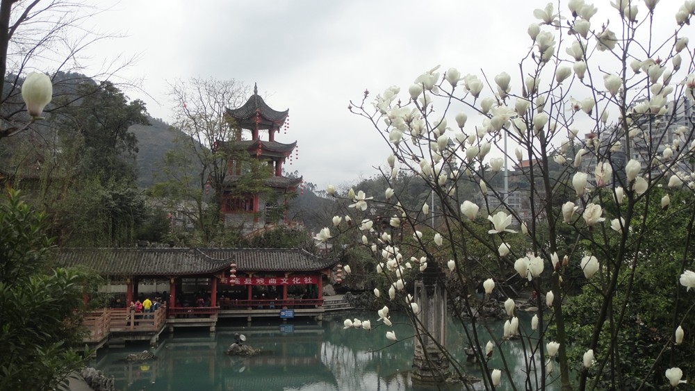 DSC04109_.jpg