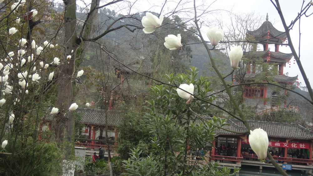DSC04105_.jpg