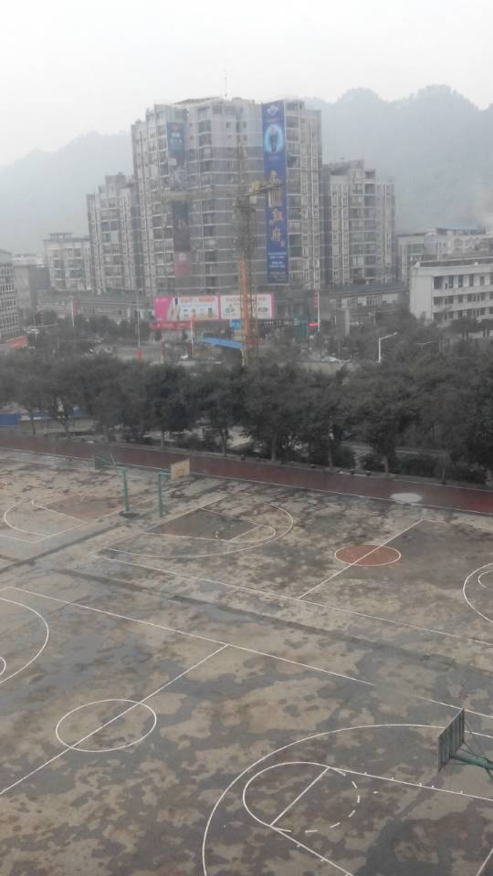 wechat.jpg