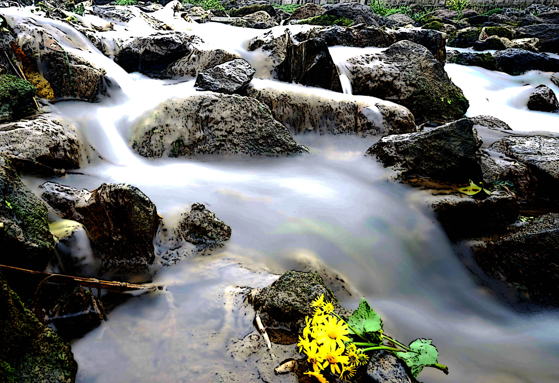 DSC02366_.jpg