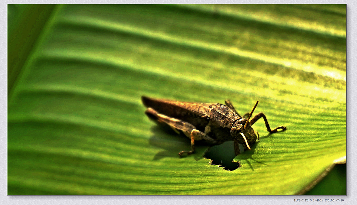 DSC05075_.jpg