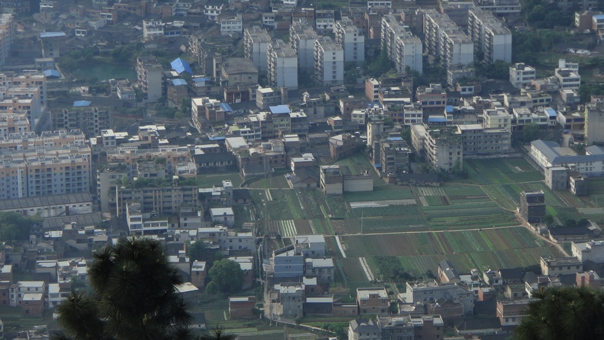 DSC05470_.jpg