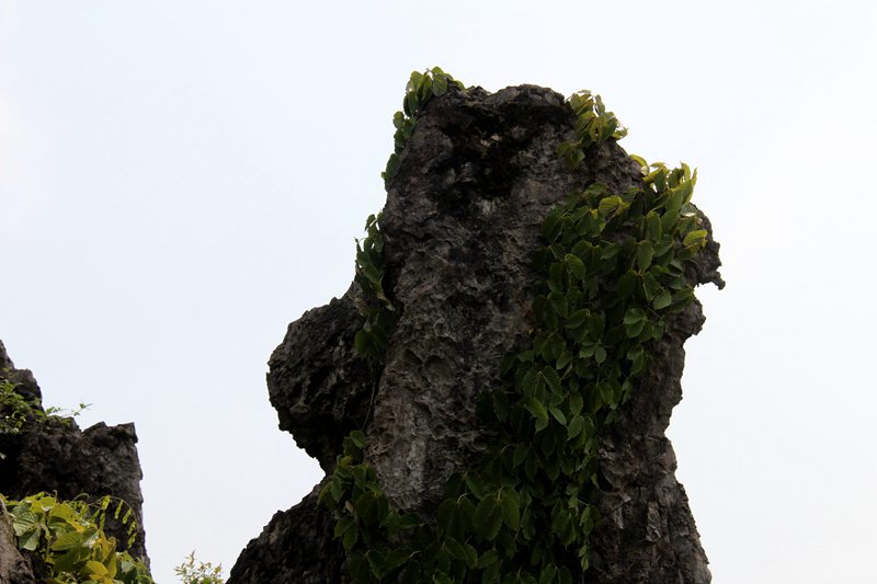 ʳ