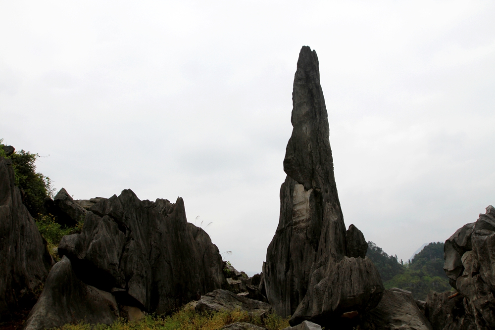 06.jpg