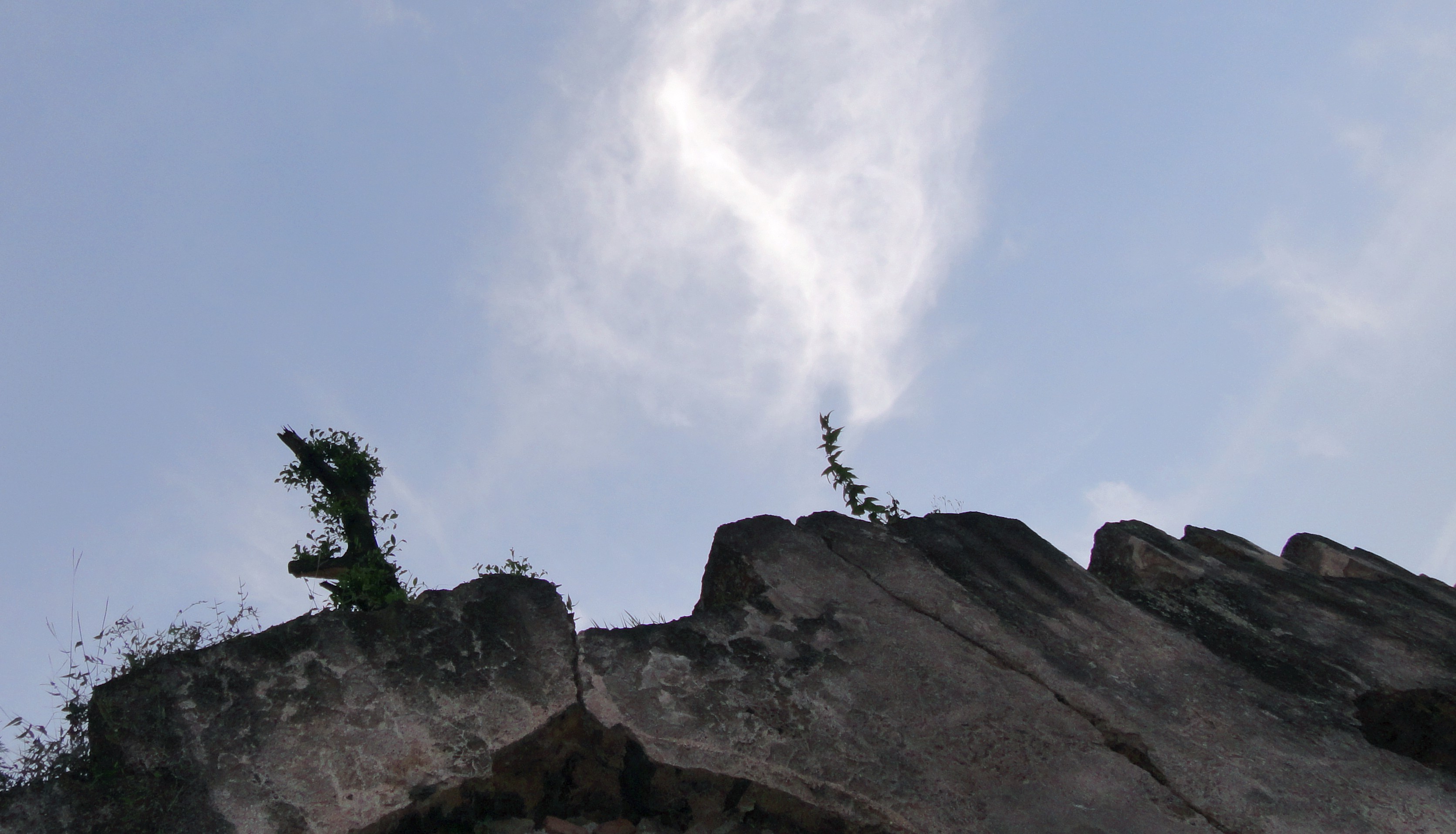 DSC06532_.jpg